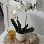 아파트 Sweet Free Parking