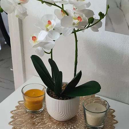 公寓 Sweet Free Parking