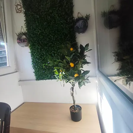 Appartement Sweet Free Parking *