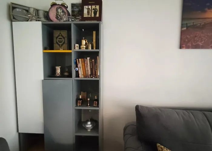 Sweet Free Parking 公寓 塞拉耶佛