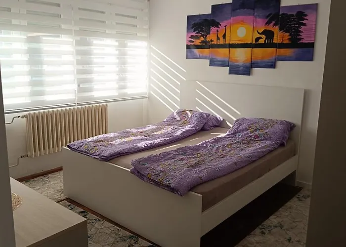 公寓 Sweet Free Parking 塞拉耶佛