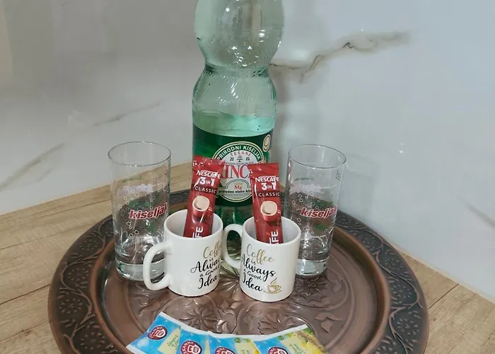 Sweet Free Parking 公寓 塞拉耶佛