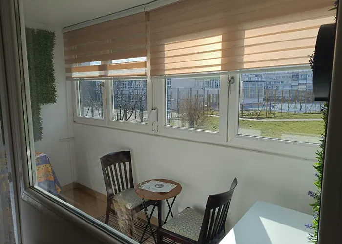 公寓 Sweet Free Parking 塞拉耶佛