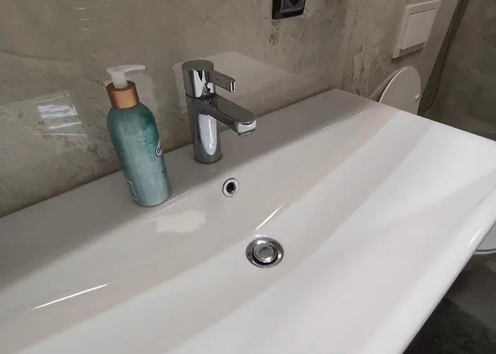 公寓 Sweet Free Parking 塞拉耶佛