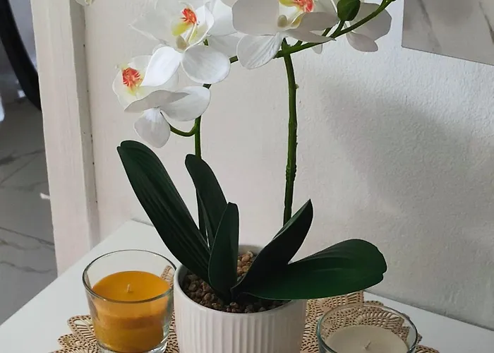 Apartman Sweet Free Parking