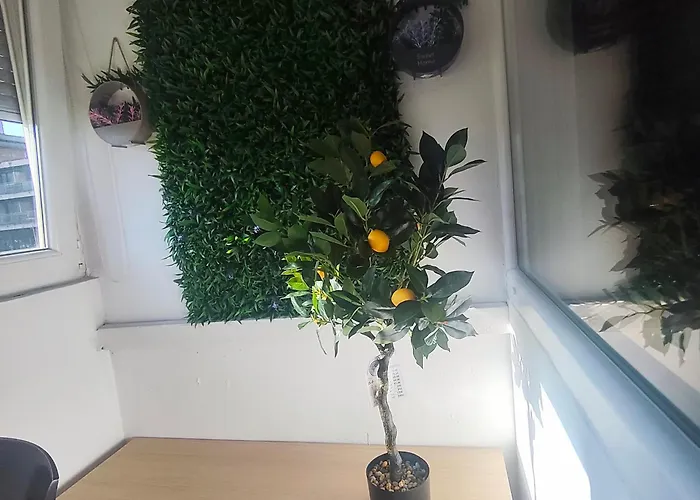 公寓 Sweet Free Parking *